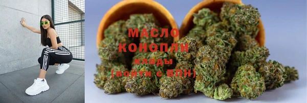 мдпв Верхний Тагил