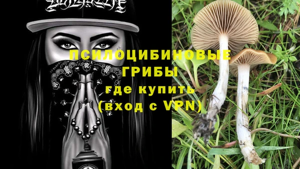 мдпв Верхний Тагил