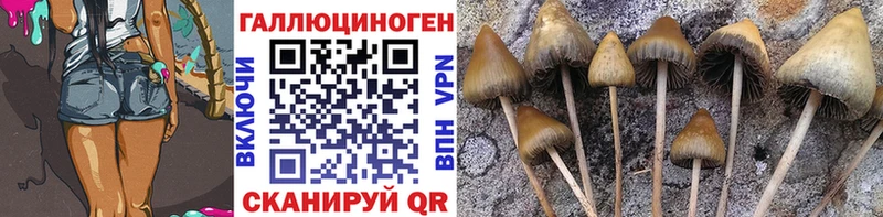 MEGA ССЫЛКА Ковылкино Галлюциногенные грибы ЛСД