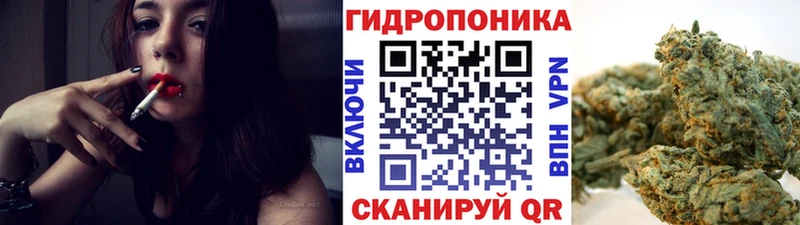 Шишки марихуана план  купить наркотики сайты  Ковылкино 
